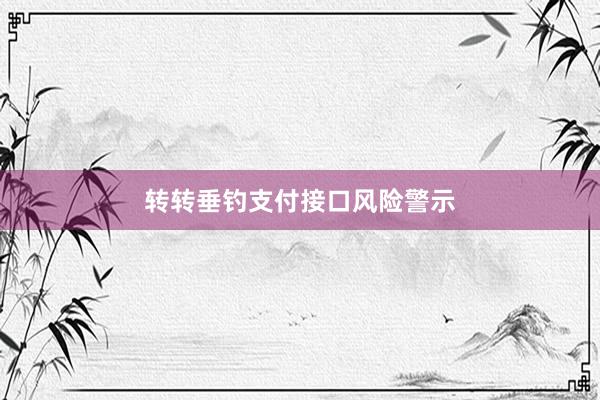转转垂钓支付接口风险警示